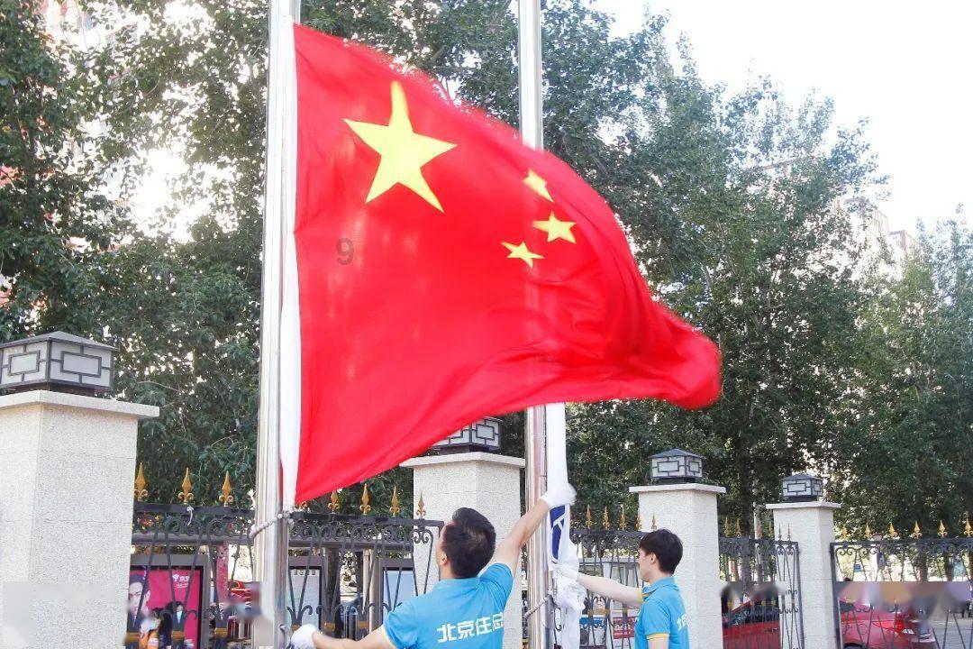救援贪玩的大象